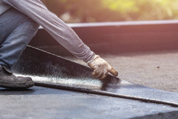 Wet basement repair process in West Elkton, OH